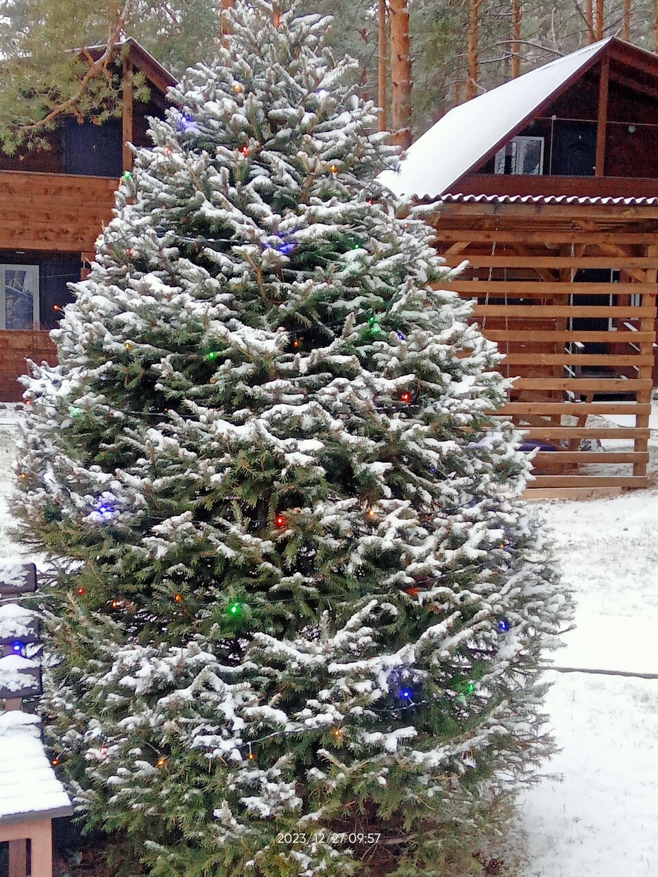 Гостевой дом Усадьба Алтын Торбок Чемал-82