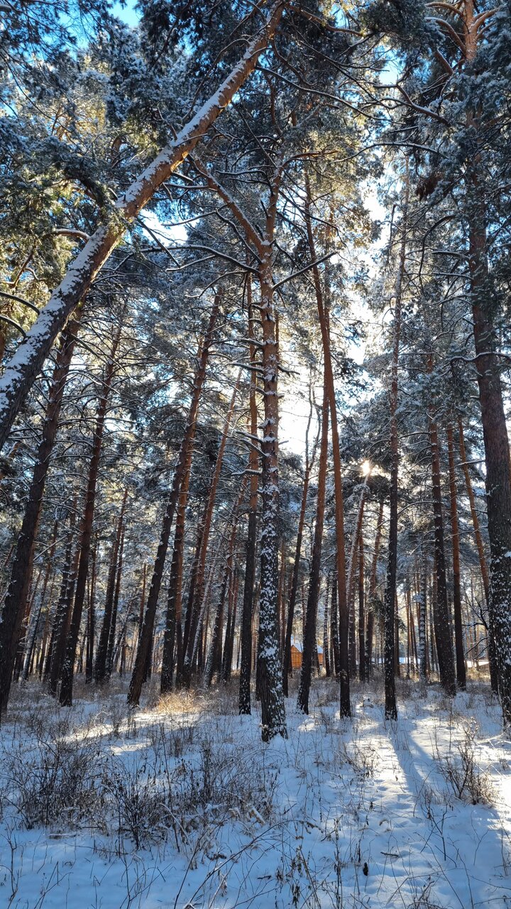 Гостевой дом Усадьба Алтын Торбок Чемал-61