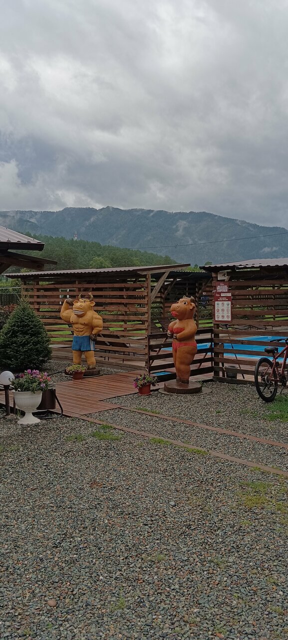 Гостевой дом Усадьба Алтын Торбок Чемал-178