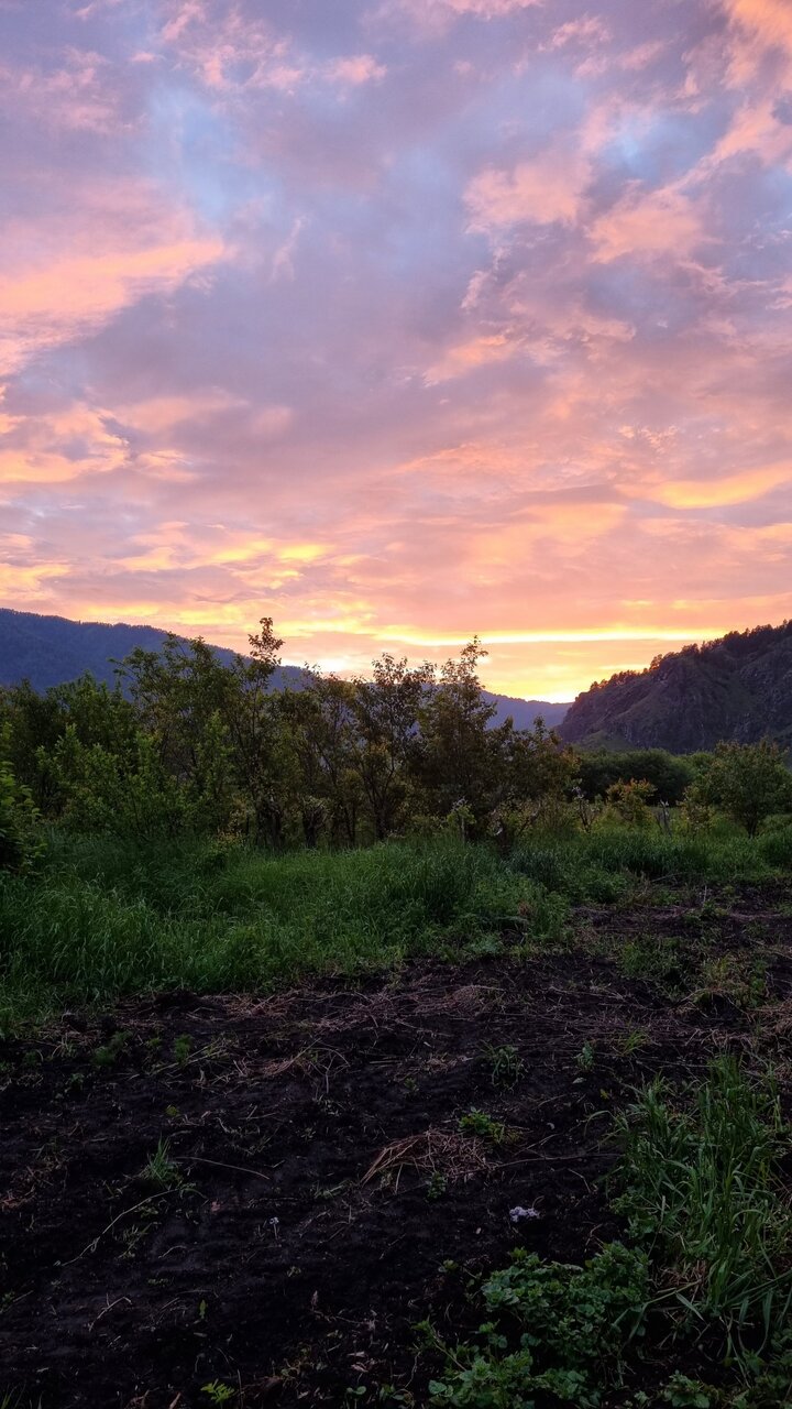 Гостевой дом Усадьба Алтын Торбок Чемал-69