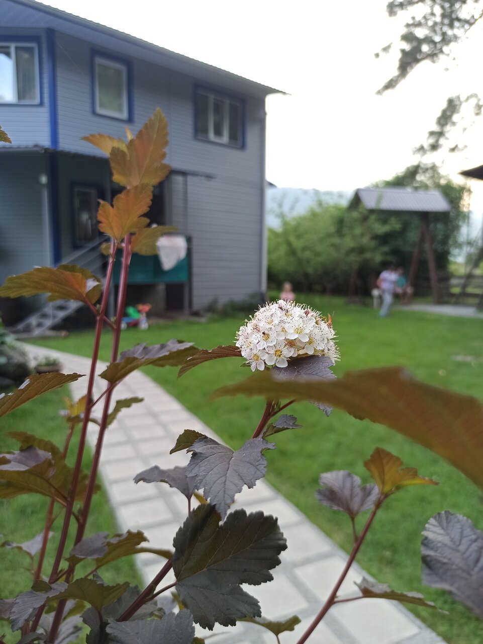 Гостевой дом Усадьба Алтын Торбок Чемал-108