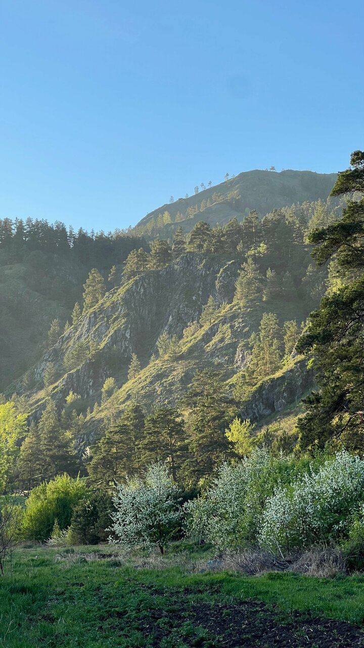 Гостевой дом Усадьба Алтын Торбок Чемал-120