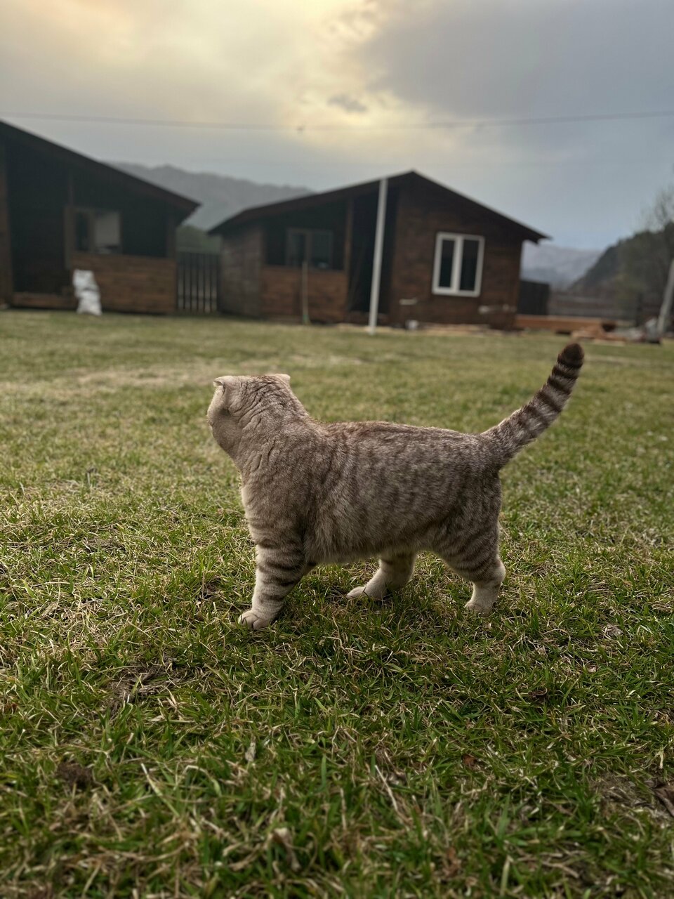 Гостевой дом Усадьба Алтын Торбок Чемал-92