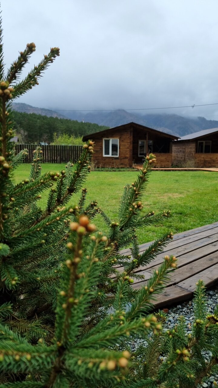 Гостевой дом Усадьба Алтын Торбок Чемал-13