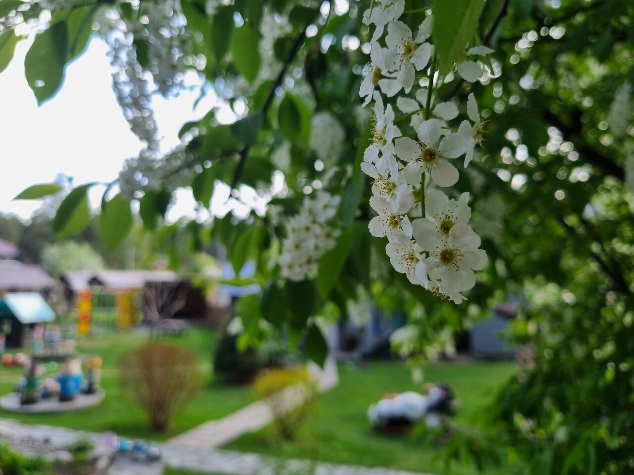 Гостевой дом Усадьба Алтын Торбок Чемал-39