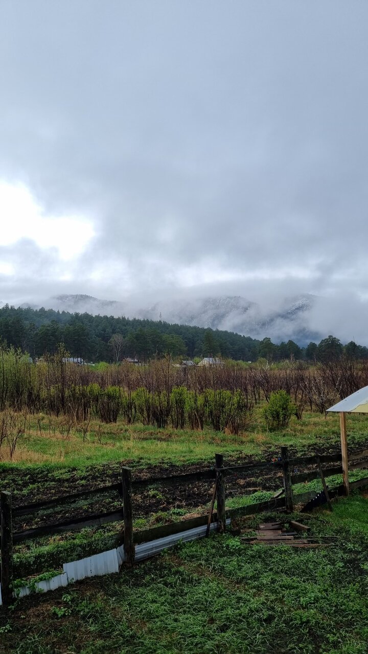 Гостевой дом Усадьба Алтын Торбок Чемал-59