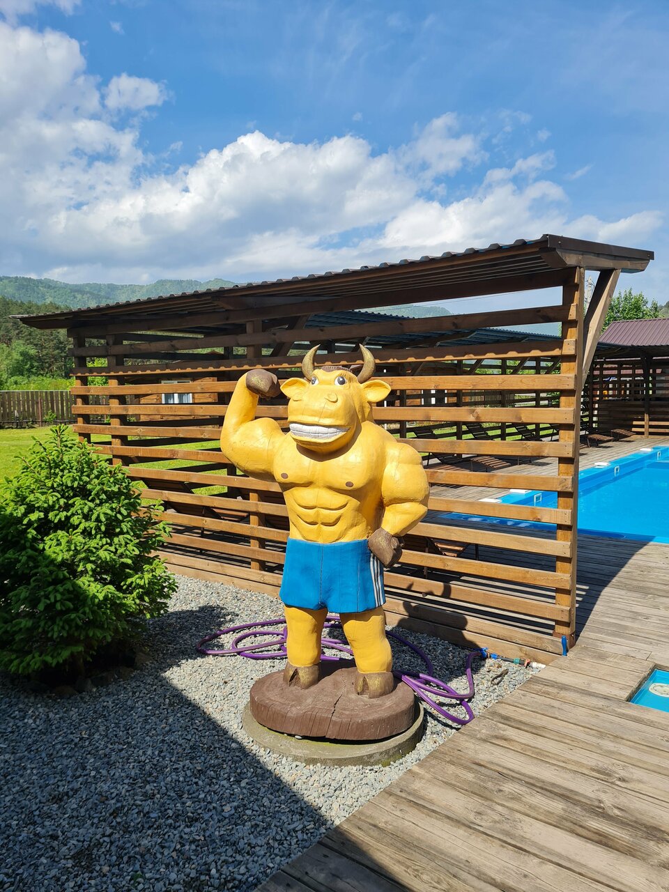 Гостевой дом Усадьба Алтын Торбок Чемал-81