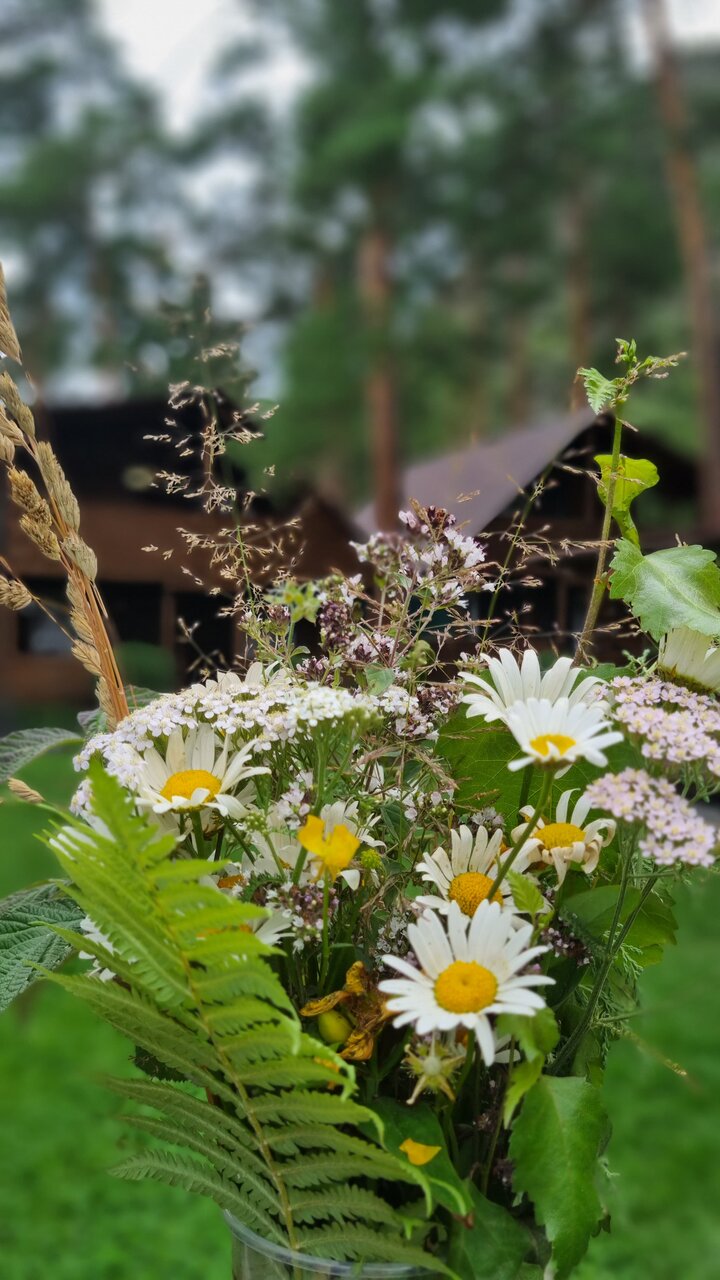 Гостевой дом Усадьба Алтын Торбок Чемал-51