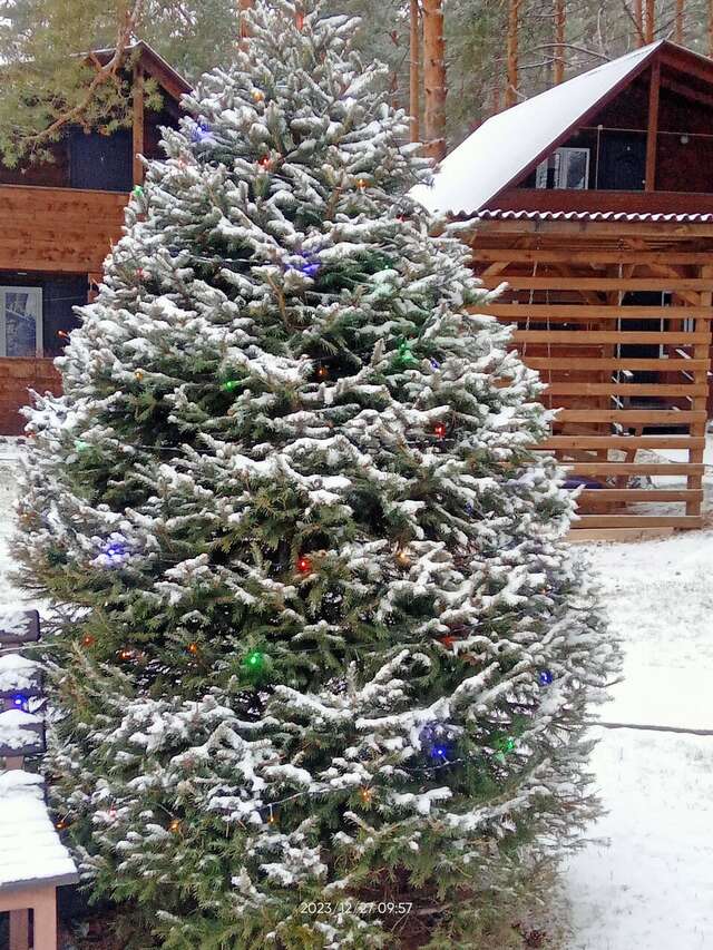 Гостевой дом Усадьба Алтын Торбок Чемал-81