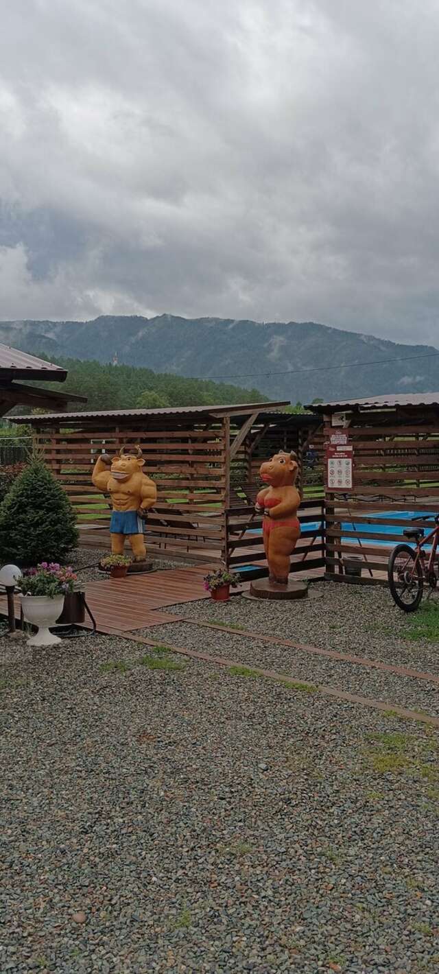 Гостевой дом Усадьба Алтын Торбок Чемал-177