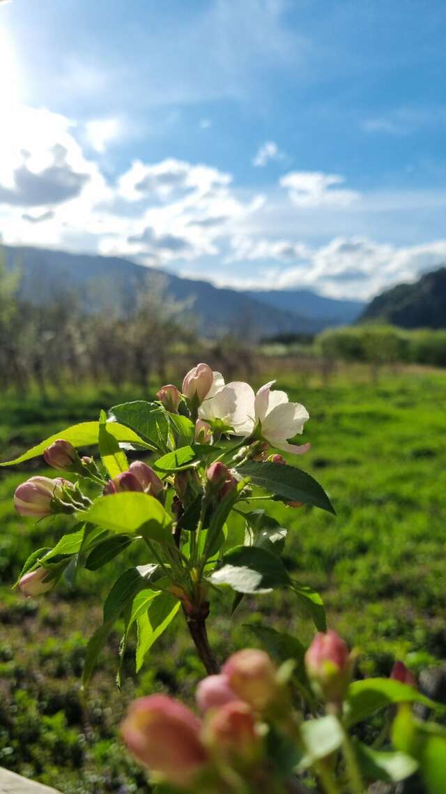 Гостевой дом Усадьба Алтын Торбок Чемал-48