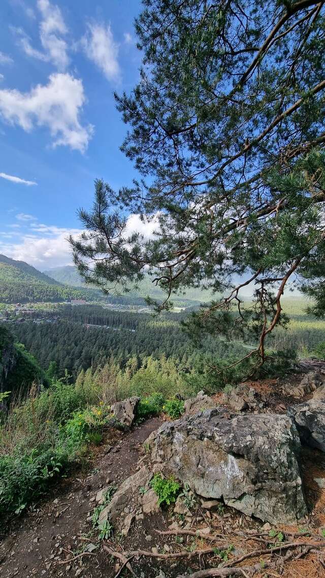 Гостевой дом Усадьба Алтын Торбок Чемал-37