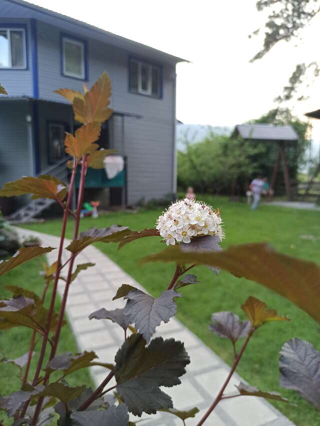 Гостевой дом Усадьба Алтын Торбок Чемал-107