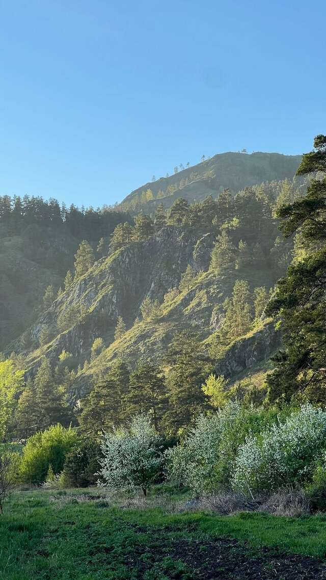 Гостевой дом Усадьба Алтын Торбок Чемал-119