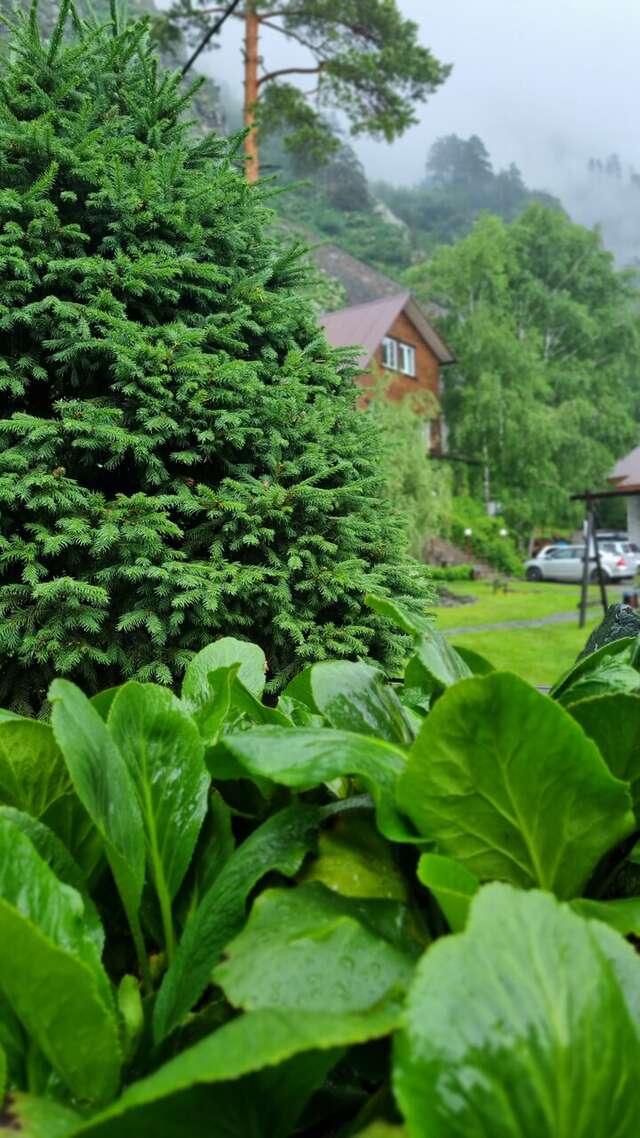 Гостевой дом Усадьба Алтын Торбок Чемал-14