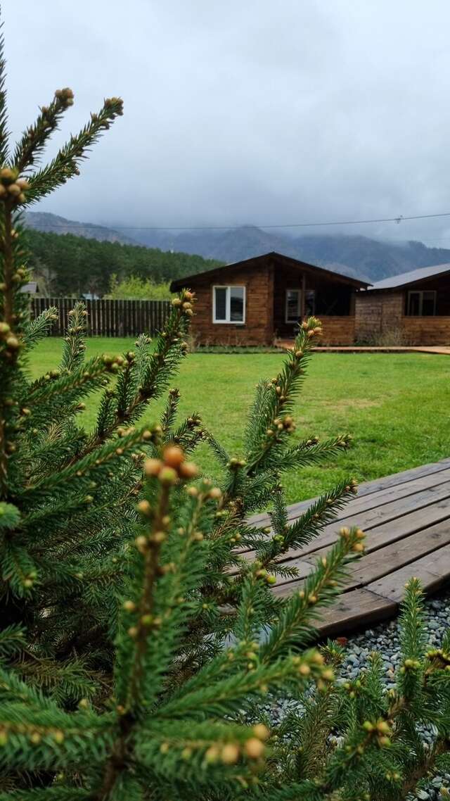 Гостевой дом Усадьба Алтын Торбок Чемал-12