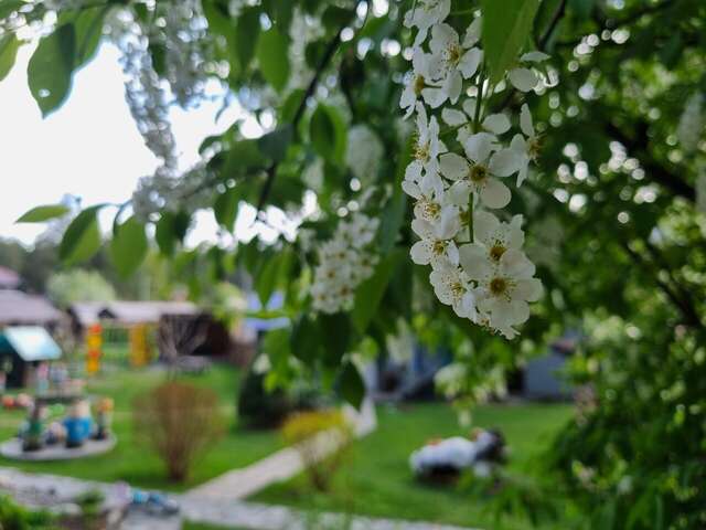 Гостевой дом Усадьба Алтын Торбок Чемал-38