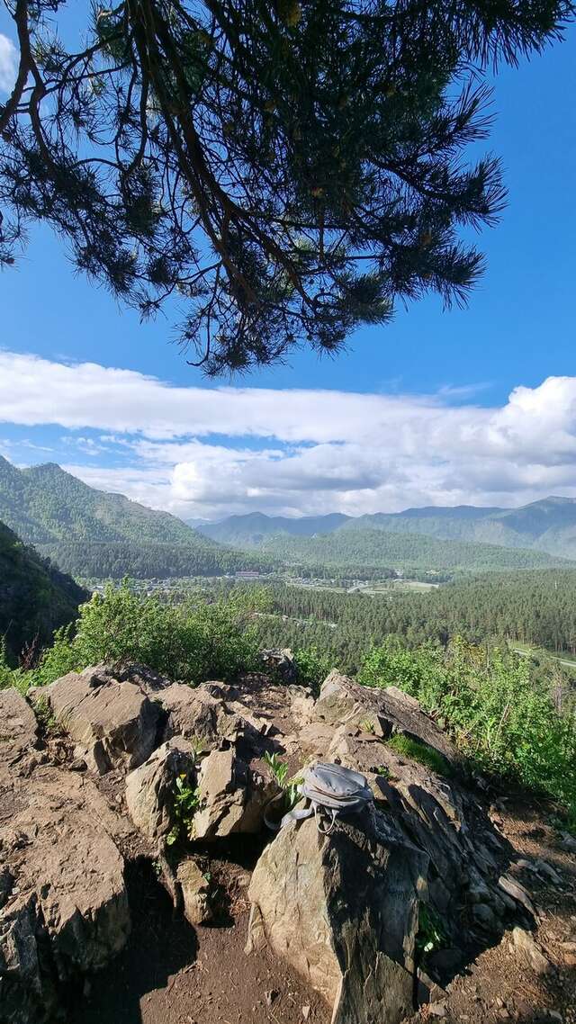 Гостевой дом Усадьба Алтын Торбок Чемал-10