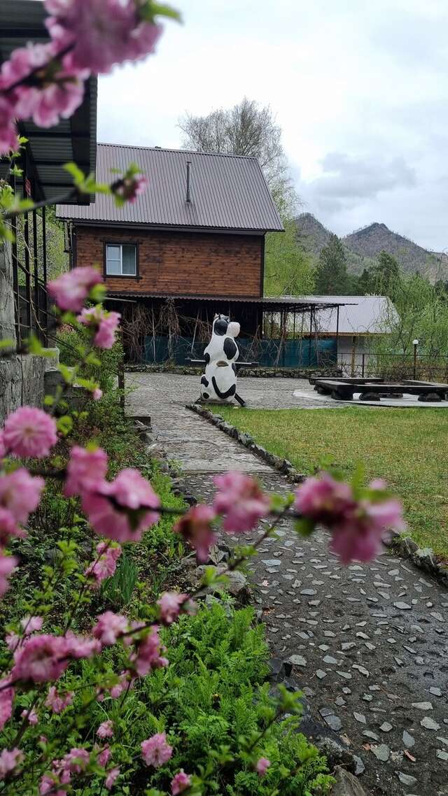 Гостевой дом Усадьба Алтын Торбок Чемал-11