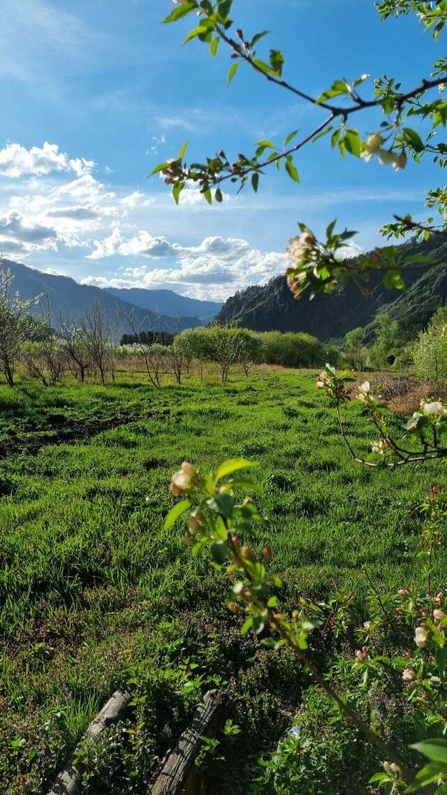 Гостевой дом Усадьба Алтын Торбок Чемал-70