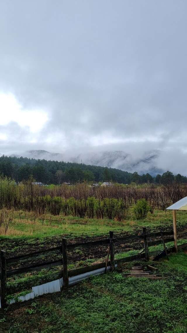 Гостевой дом Усадьба Алтын Торбок Чемал-58