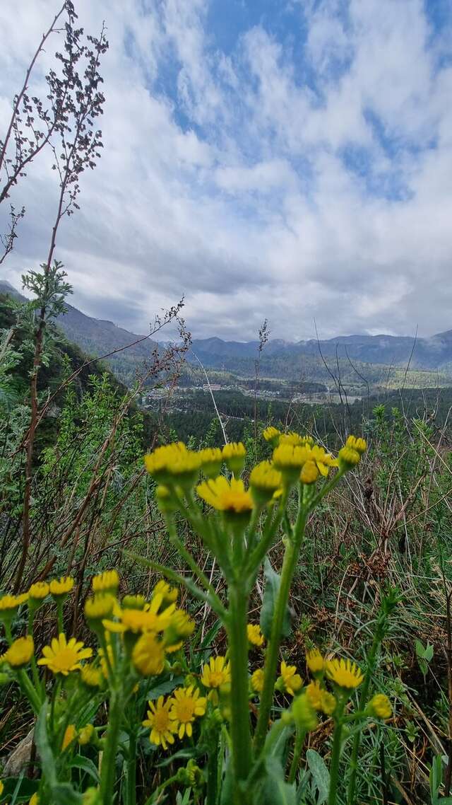 Гостевой дом Усадьба Алтын Торбок Чемал-41