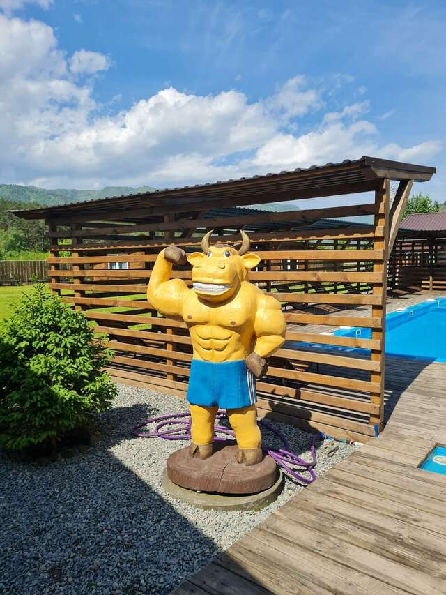 Гостевой дом Усадьба Алтын Торбок Чемал-80