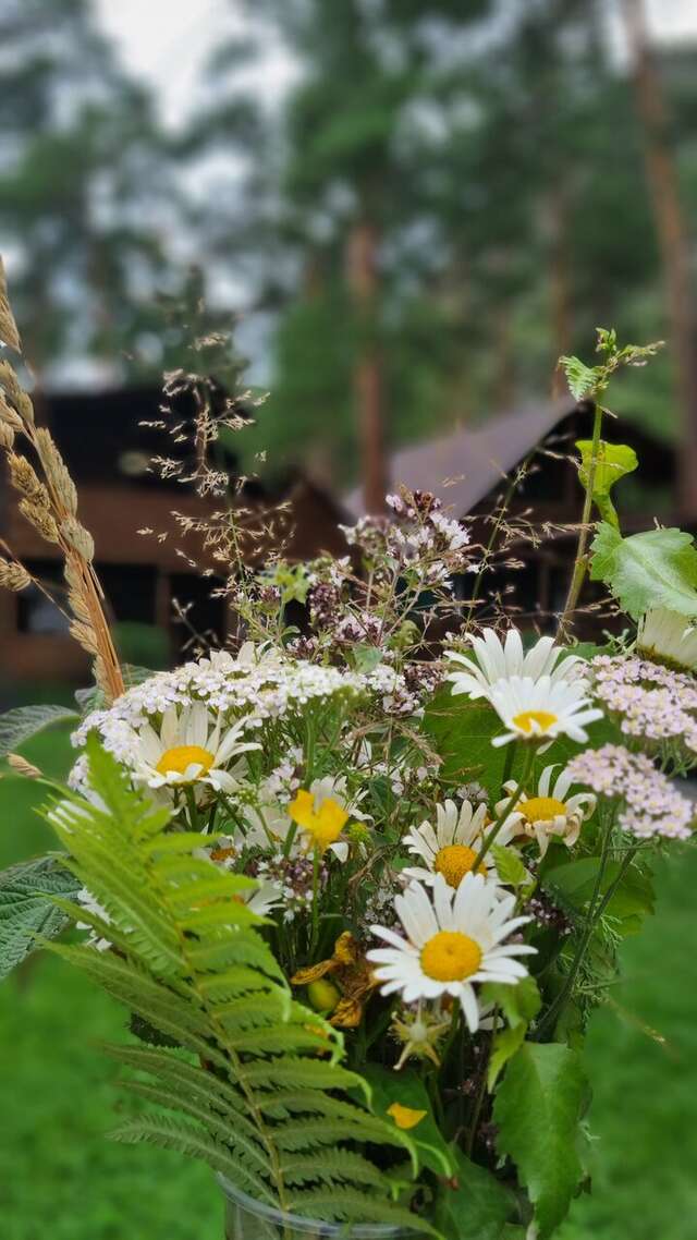 Гостевой дом Усадьба Алтын Торбок Чемал-50